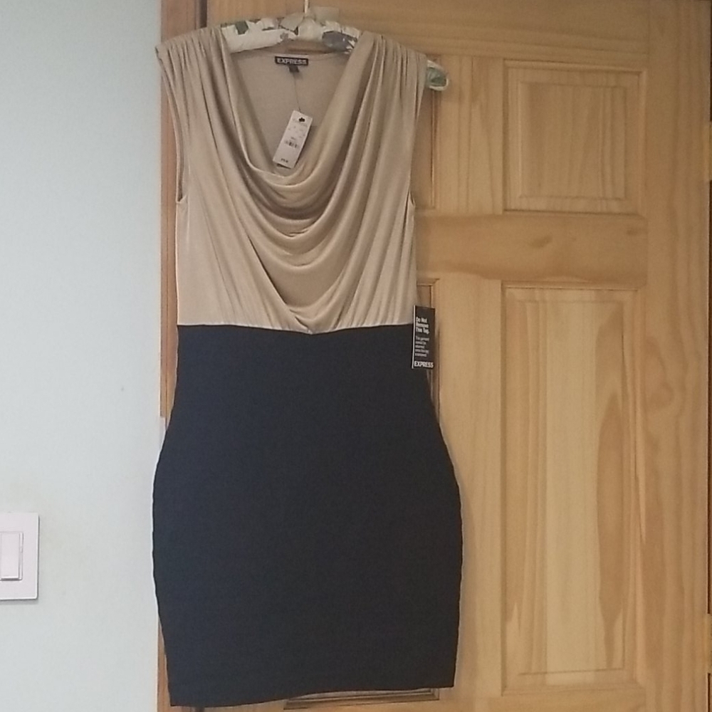 Express dress size small
